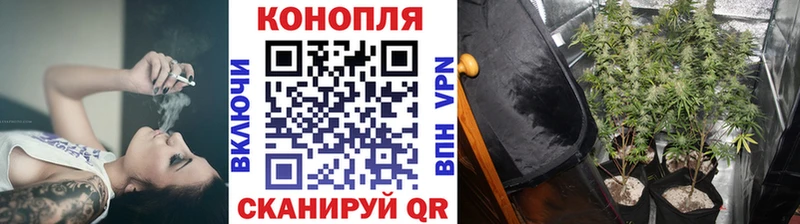 Купить наркотик Камышин МЕТАМФЕТАМИН  Бошки Шишки  Мефедрон  ГАШ  Псилоцибиновые грибы 