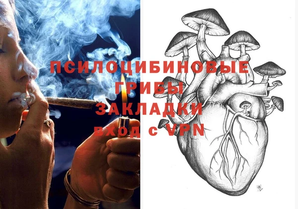 spice Богданович