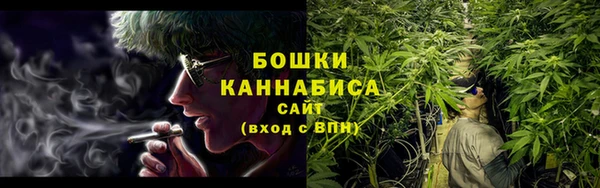 spice Богданович