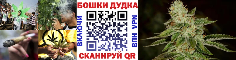 Бошки марихуана сатива  мега ТОР  Камышин 